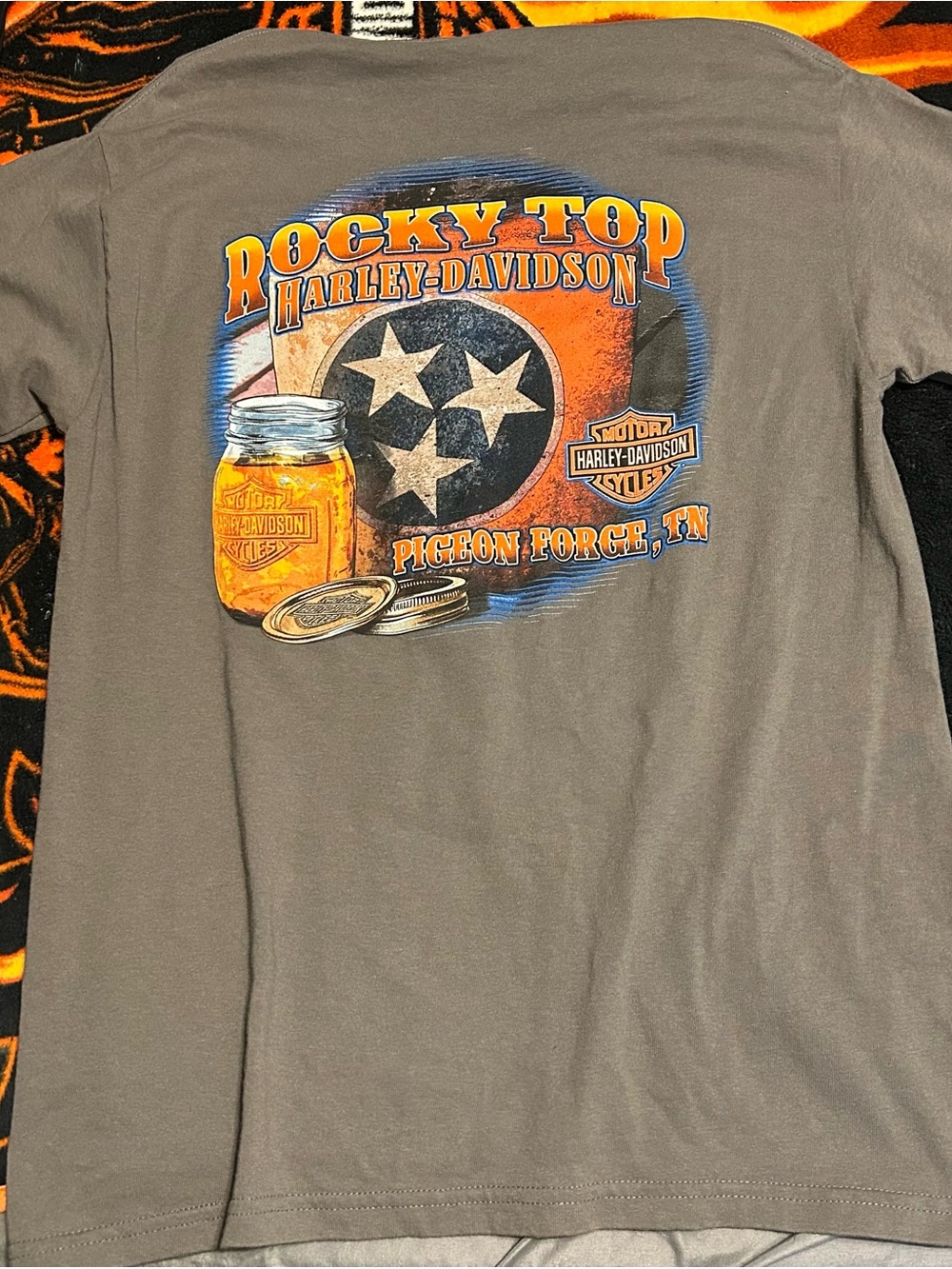 Harley-Davidson Brown Tee with Orange and Blue Rocky Top Graphic